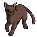 Windster.eerstebewoner.png (42 kB) Eerste Bewoner versie