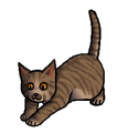 Kitten versie