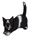 Kitten versie
