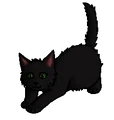 Kitten versie
