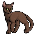 Windster.zwerfkat.png (50 kB) Zwerfkat versie