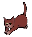 Kitten versie