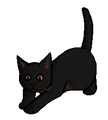 Kitten versie