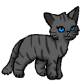 SterrenClankitten versie