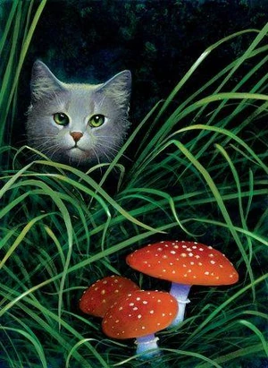 Dovepaw