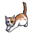 Lichthart.kitten.png (33 kB) Kitten versie