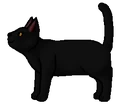 Nachtwolk.leerling.png (19 kB) Leerling versie