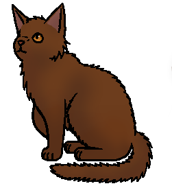 Bruinvacht.commandant