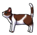 Haasster.leerling.png (38 kB) Leerling versie