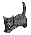 Kitten versie