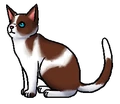 Haasster.krijger.png (41 kB) Krijger versie