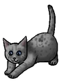 Kitten versie