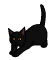 Nachtwolk.kitten.png (12 kB) Kitten versie