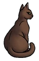 Windster.sterrenclankat.png (35 kB) SterrenClankat versie