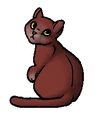 SterrenClankitten versie