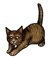 Tijgerster.kitten.png (42 kB) Kitten versie
