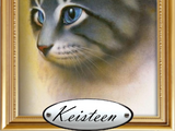 Keisteen