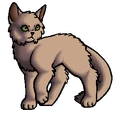Algernon.zwerfkat.png (39 kB) Zwerfkat versie