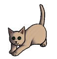 Kitten versie