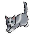 Kegelpoot.kitten.png (29 kB) Kitten versie