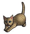 Kitten versie