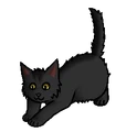 Kitten versie