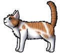 Lichthart.leerling.png (48 kB) Leerling versie