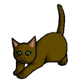 Kitten versie
