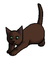 Paddevoet.kitten.png (11 kB) Kitten versie