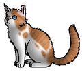 Lichthart.krijger.png (44 kB) Krijger versie
