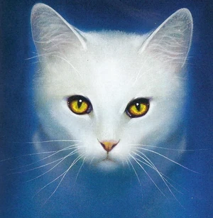 Sagewhisker