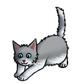Kitten versie