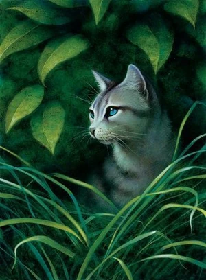 Ivypaw