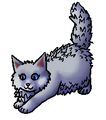 Kitten versie