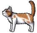 Lichthart.leerling.alt.png (48 kB) Alternatieve leerling versie