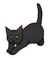 Kitten versie