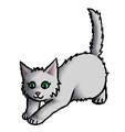 Kitten versie