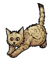 Kitten versie
