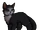 Olijf