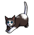 Kitten versie