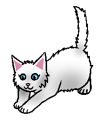 Kitten versie