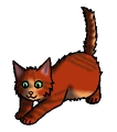 Kitten versie