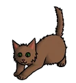 Kitten versie