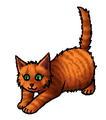 Kitten versie