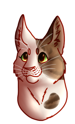 16150 - safe, artist:vanycat, sandstorm (warrior cats), cat, feline,  mammal, feral, warrior cats, angry, character name, claws, fangs, female,  fur, green background, paws, sharp teeth, simple background, solo, solo  female, tail, teeth