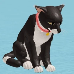 picture Ultimate Edition Warrior Cat Oc Ideas category images warrior cats