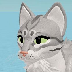 Warrior Cats Ultimate Edition Renewed Wiki Fandom - cat morph roblox