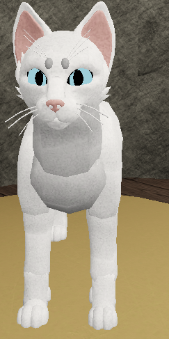 Morph Menu Warrior Cats Ultimate Edition Renewed Wiki Fandom - cat torso roblox
