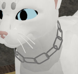 Character Customization Warrior Cats Ultimate Edition Roblox Rp Wiki Fandom - roblox warrior cats how to glitch morph 2021