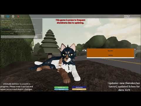 Game History Warrior Cats Ultimate Edition Roblox Rp Wiki Fandom - roblox music how to make keep going in game